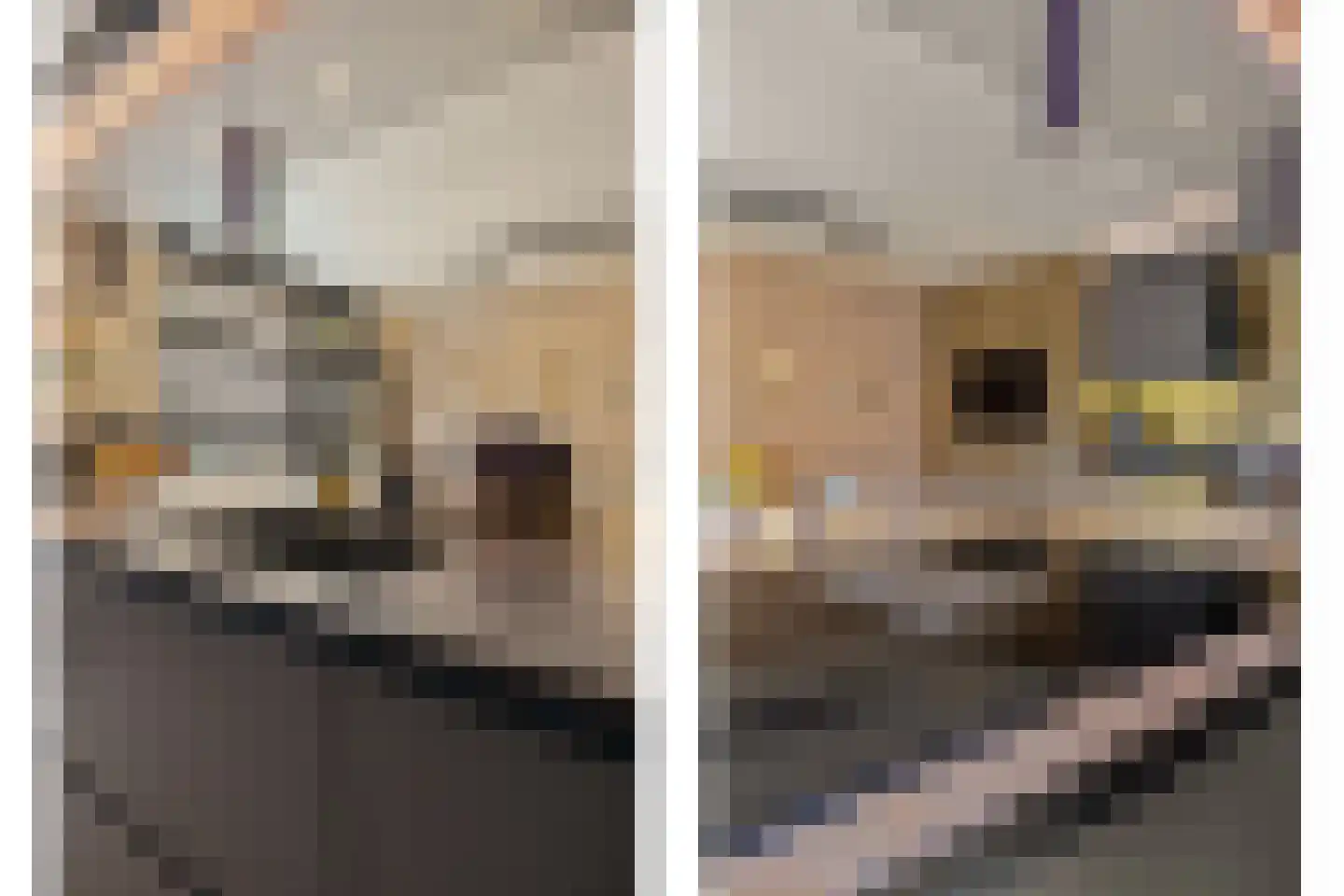 Coorninglaan 18 Druten thumbnail 8
