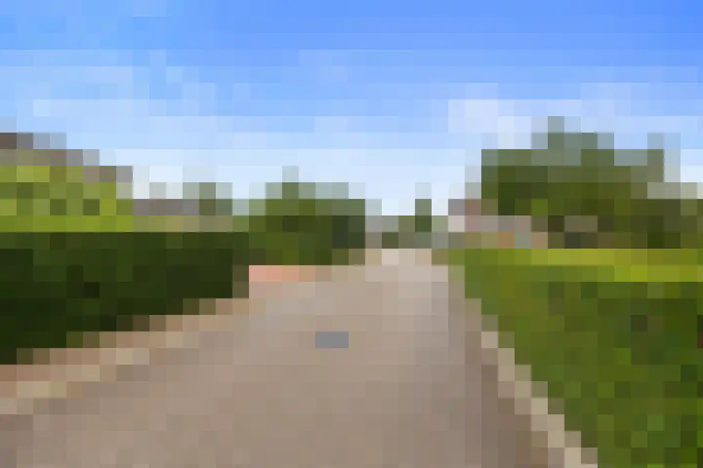 Coorninglaan 18 Druten thumbnail 81