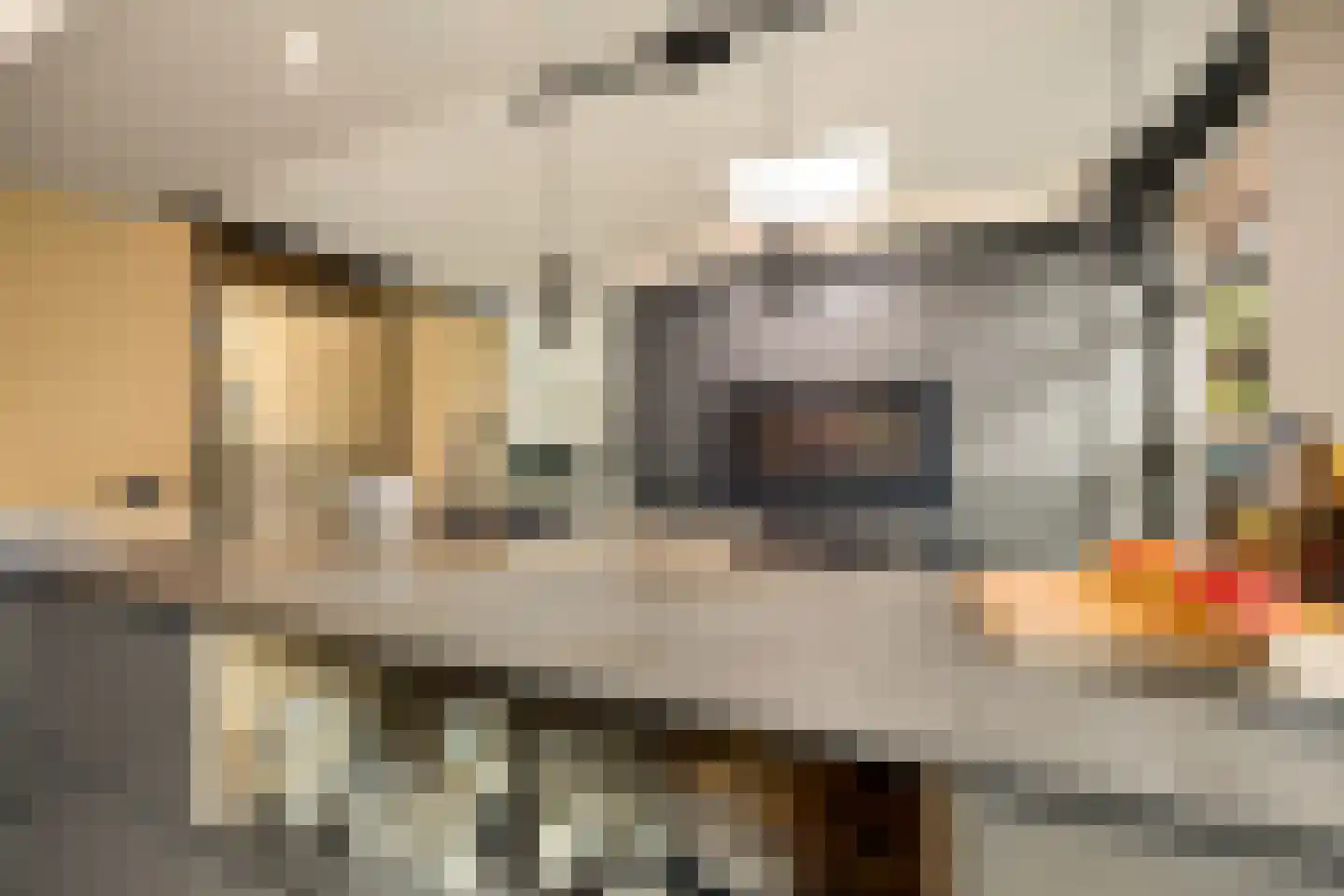 Coorninglaan 18 Druten thumbnail 9