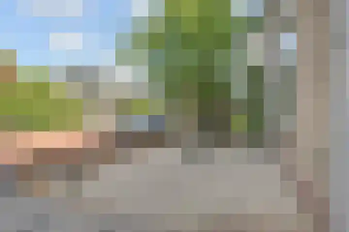 Coornwinderlaan 10 Berkel en Rodenrijs thumbnail 10