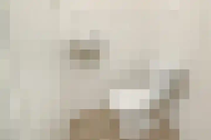 Coornwinderlaan 10 Berkel en Rodenrijs thumbnail 13
