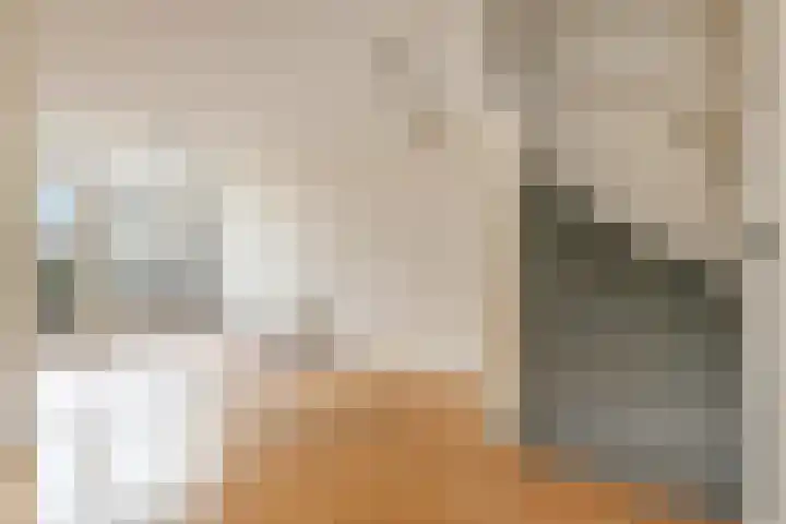 Coornwinderlaan 10 Berkel en Rodenrijs thumbnail 17