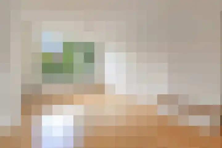 Coornwinderlaan 10 Berkel en Rodenrijs thumbnail 18
