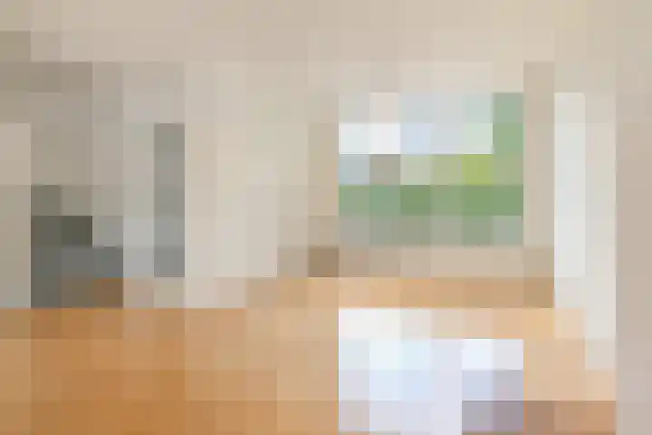Coornwinderlaan 10 Berkel en Rodenrijs thumbnail 19