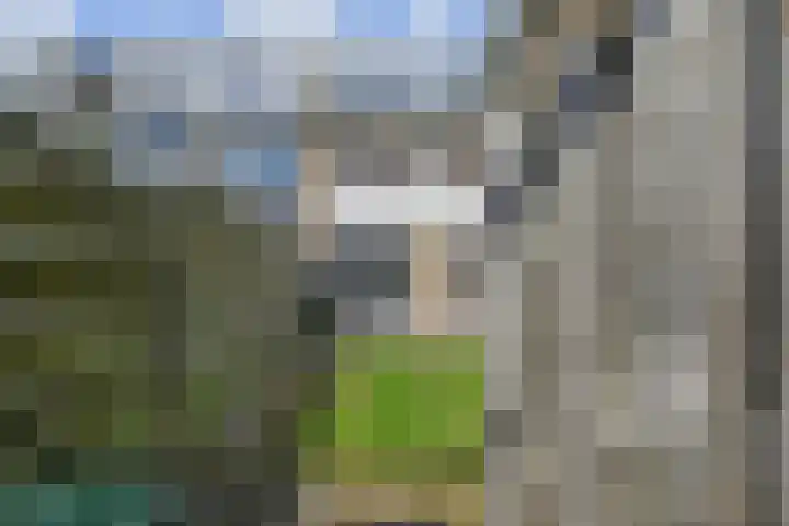 Coornwinderlaan 10 Berkel en Rodenrijs thumbnail 23