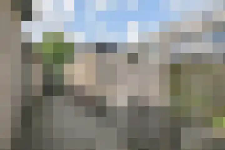 Coornwinderlaan 10 Berkel en Rodenrijs thumbnail 24