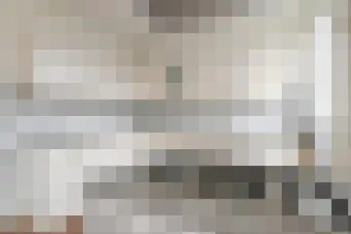 Coornwinderlaan 10 Berkel en Rodenrijs thumbnail 27