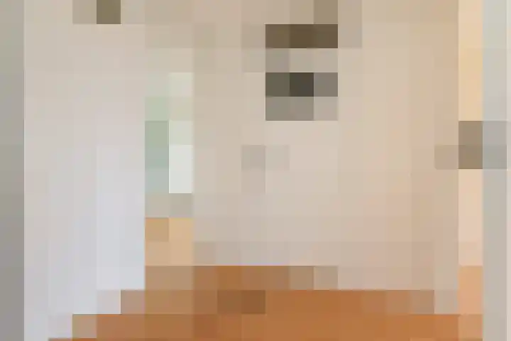 Coornwinderlaan 10 Berkel en Rodenrijs thumbnail 33