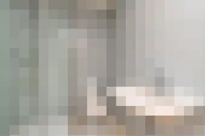 Coornwinderlaan 10 Berkel en Rodenrijs thumbnail 40