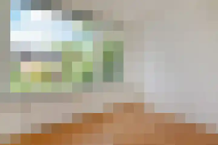 Coornwinderlaan 10 Berkel en Rodenrijs thumbnail 43