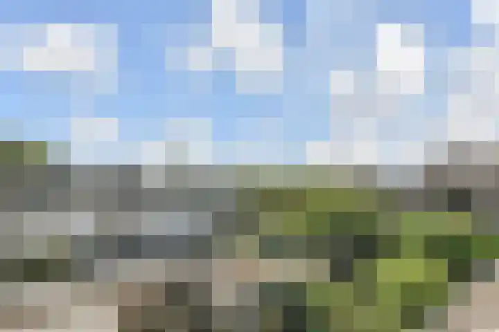 Coornwinderlaan 10 Berkel en Rodenrijs thumbnail 53