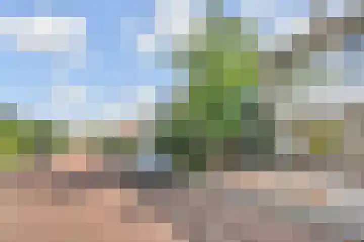 Coornwinderlaan 10 Berkel en Rodenrijs thumbnail 54
