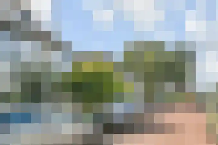 Coornwinderlaan 10 Berkel en Rodenrijs thumbnail 55