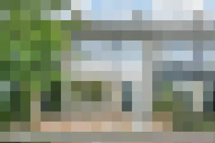 Coornwinderlaan 10 Berkel en Rodenrijs thumbnail 6