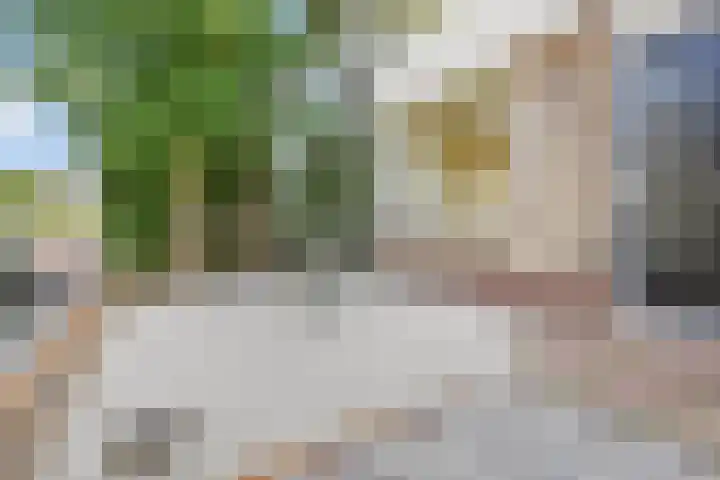 Coornwinderlaan 10 Berkel en Rodenrijs thumbnail 9