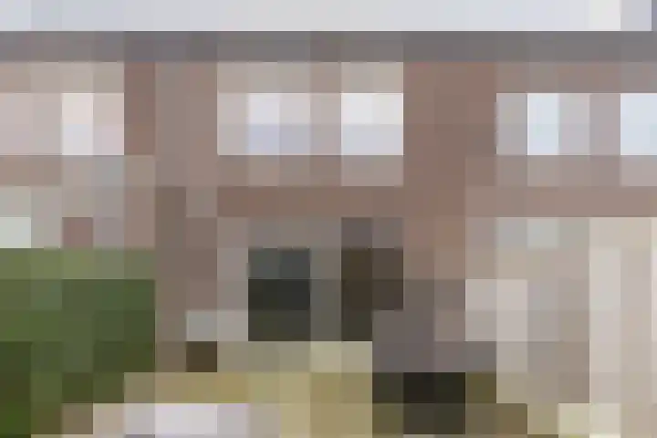 Coosenhoekstraat 47 Vierpolders thumbnail 25