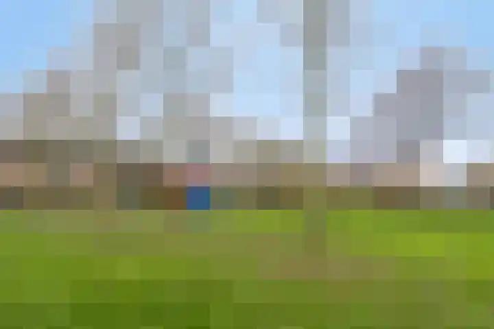 Coosenhoekstraat 47 Vierpolders thumbnail 26