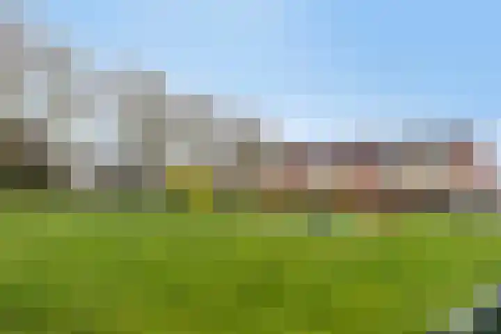 Coosenhoekstraat 47 Vierpolders thumbnail 27