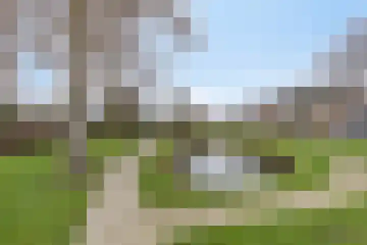 Coosenhoekstraat 47 Vierpolders thumbnail 29