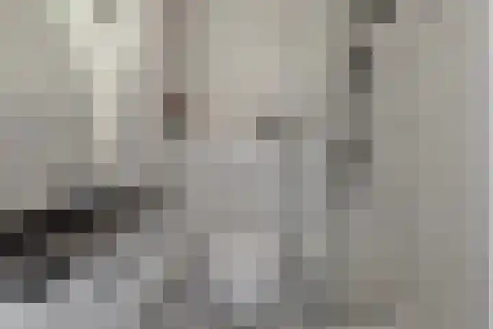 Coosenhoekstraat 47 Vierpolders thumbnail 4