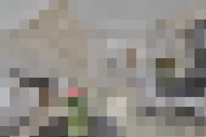 Coosenhoekstraat 47 Vierpolders thumbnail 8