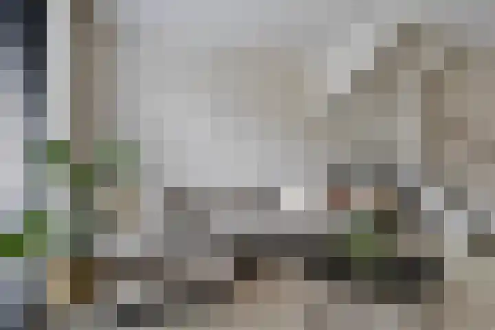 Coosenhoekstraat 47 Vierpolders thumbnail 9
