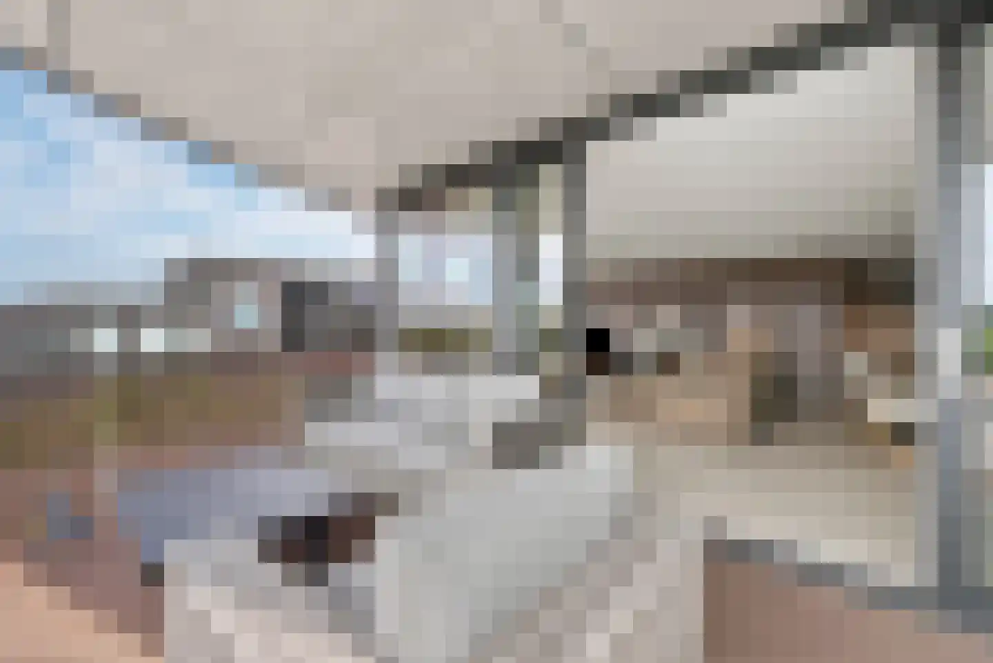 Coosje Buskenstraat 109 Vlissingen thumbnail 24