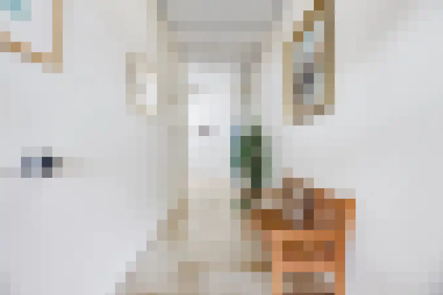 Coosje Buskenstraat 156 Vlissingen thumbnail 8