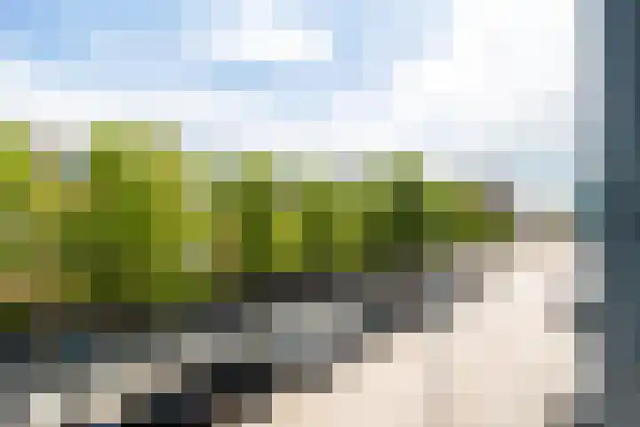 Coosje Buskenstraat 157 Vlissingen thumbnail 11