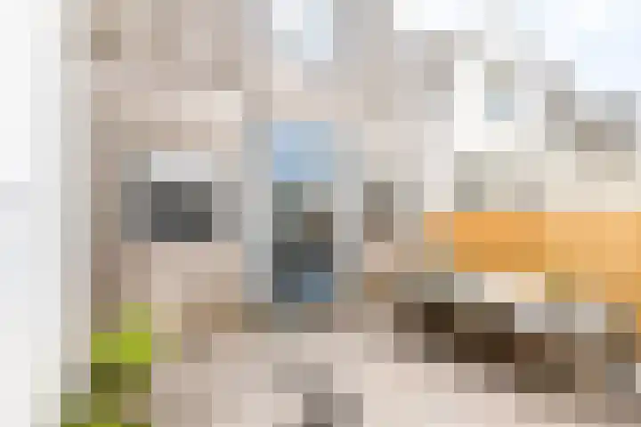 Coosje Buskenstraat 157 Vlissingen thumbnail 17