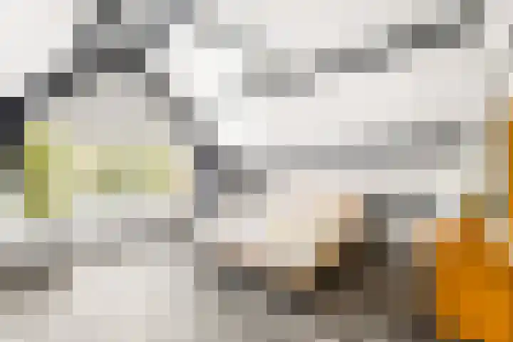 Coosje Buskenstraat 157 Vlissingen thumbnail 21