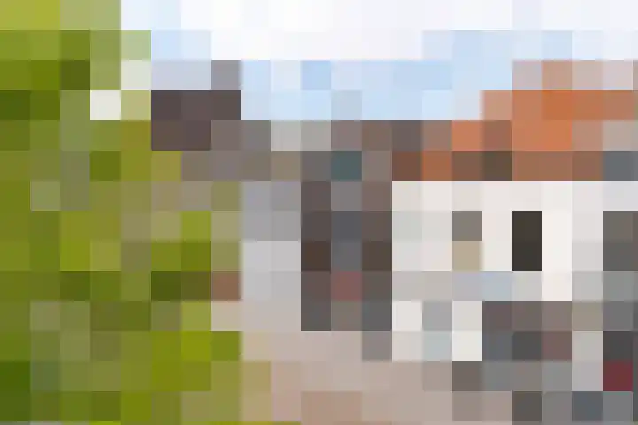 Coosje Buskenstraat 157 Vlissingen thumbnail 29
