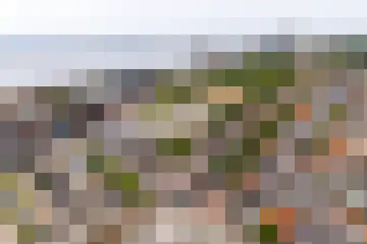 Coosje Buskenstraat 157 Vlissingen thumbnail 4