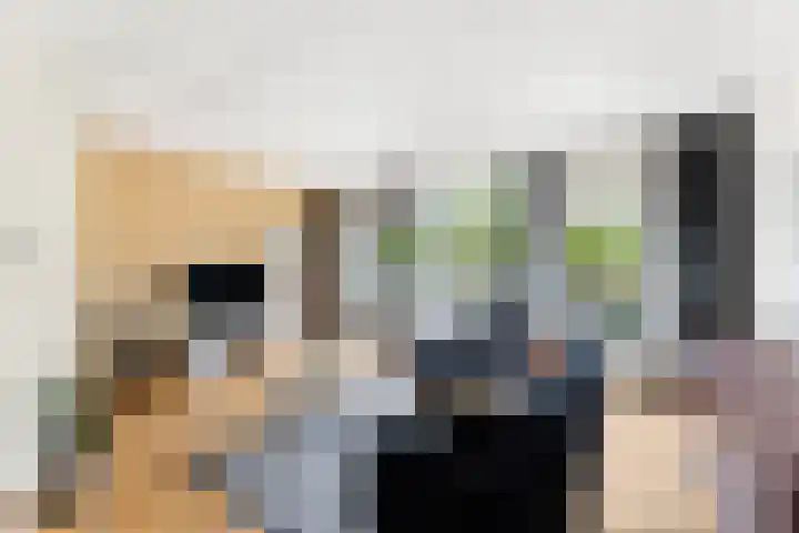 Coosje Buskenstraat 157 Vlissingen thumbnail 7