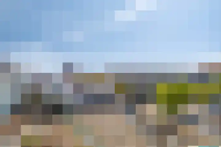 Coosje Buskenstraat 222 Vlissingen thumbnail 15