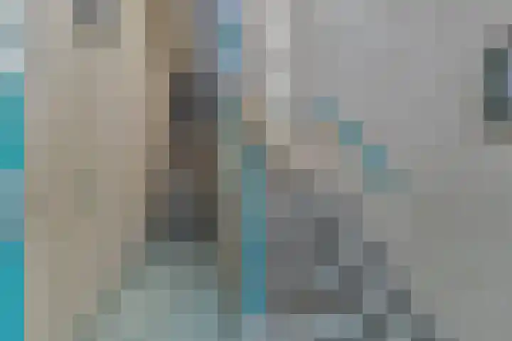 Coosje Buskenstraat 222 Vlissingen thumbnail 20