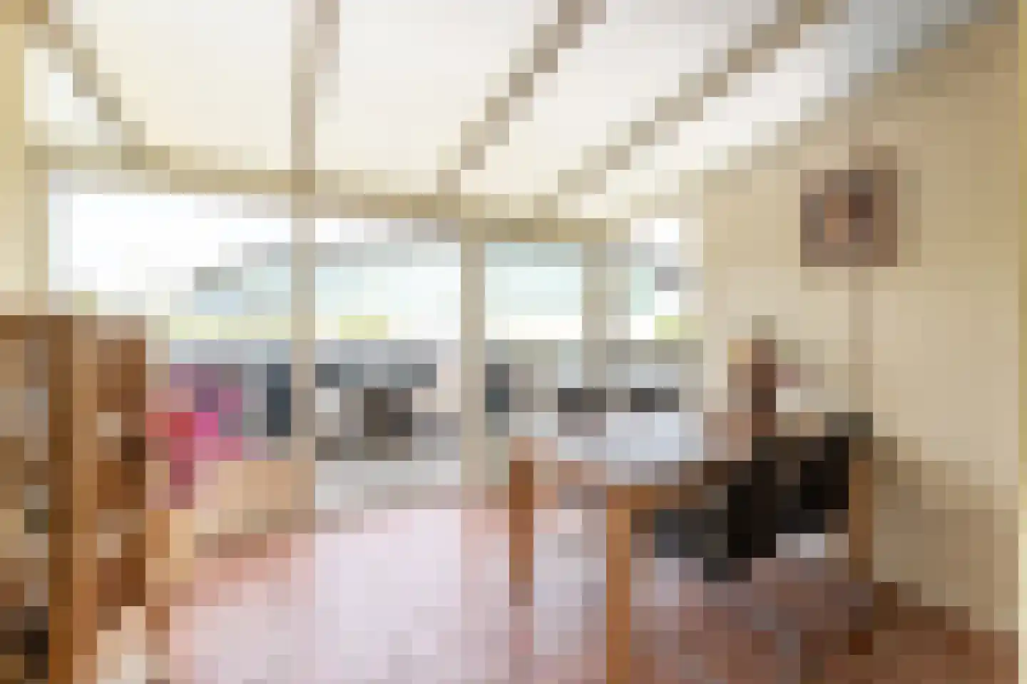 Coosje Buskenstraat 33 Vlissingen thumbnail 52