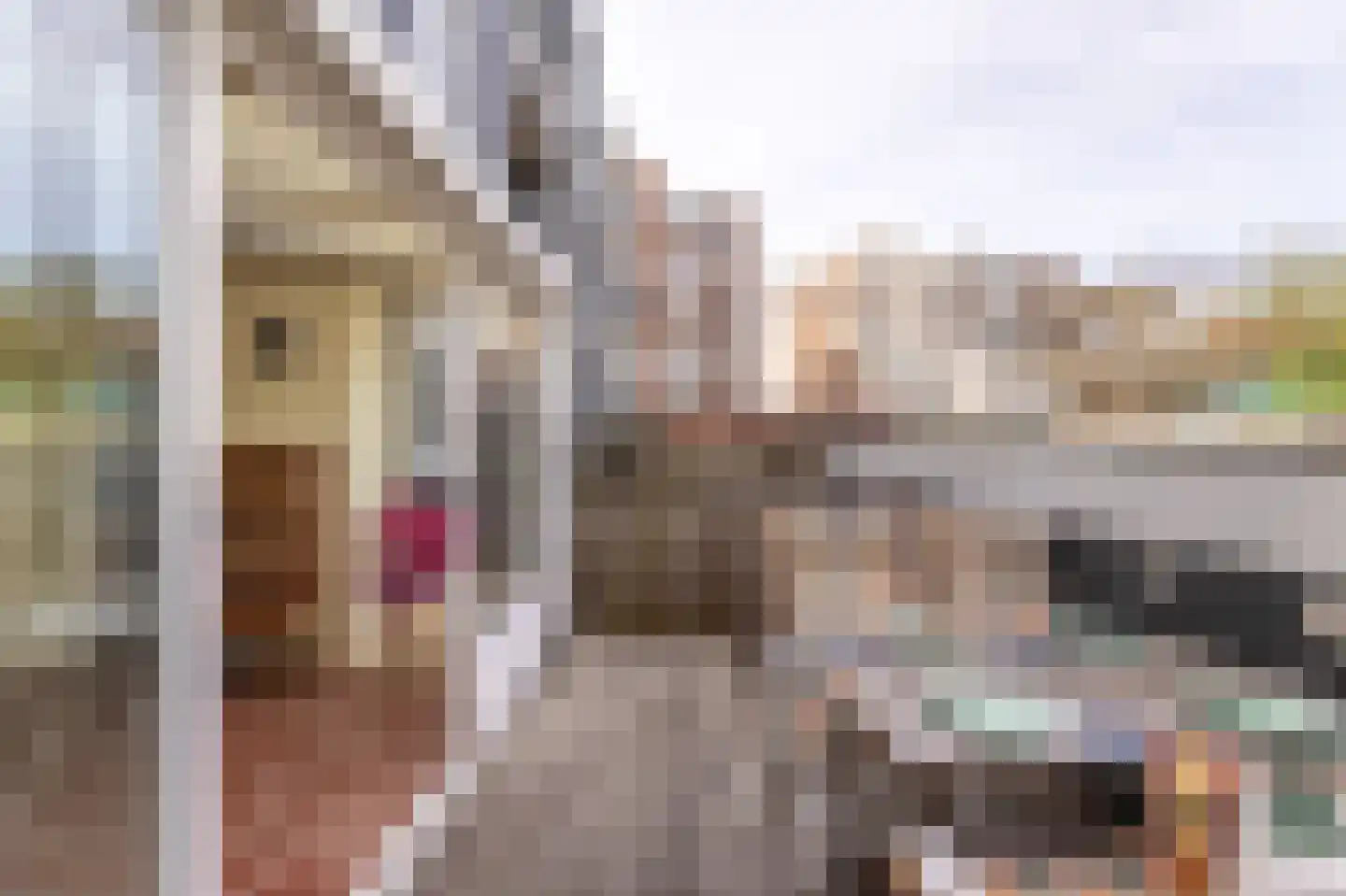 Coosje Buskenstraat 33 Vlissingen thumbnail 55