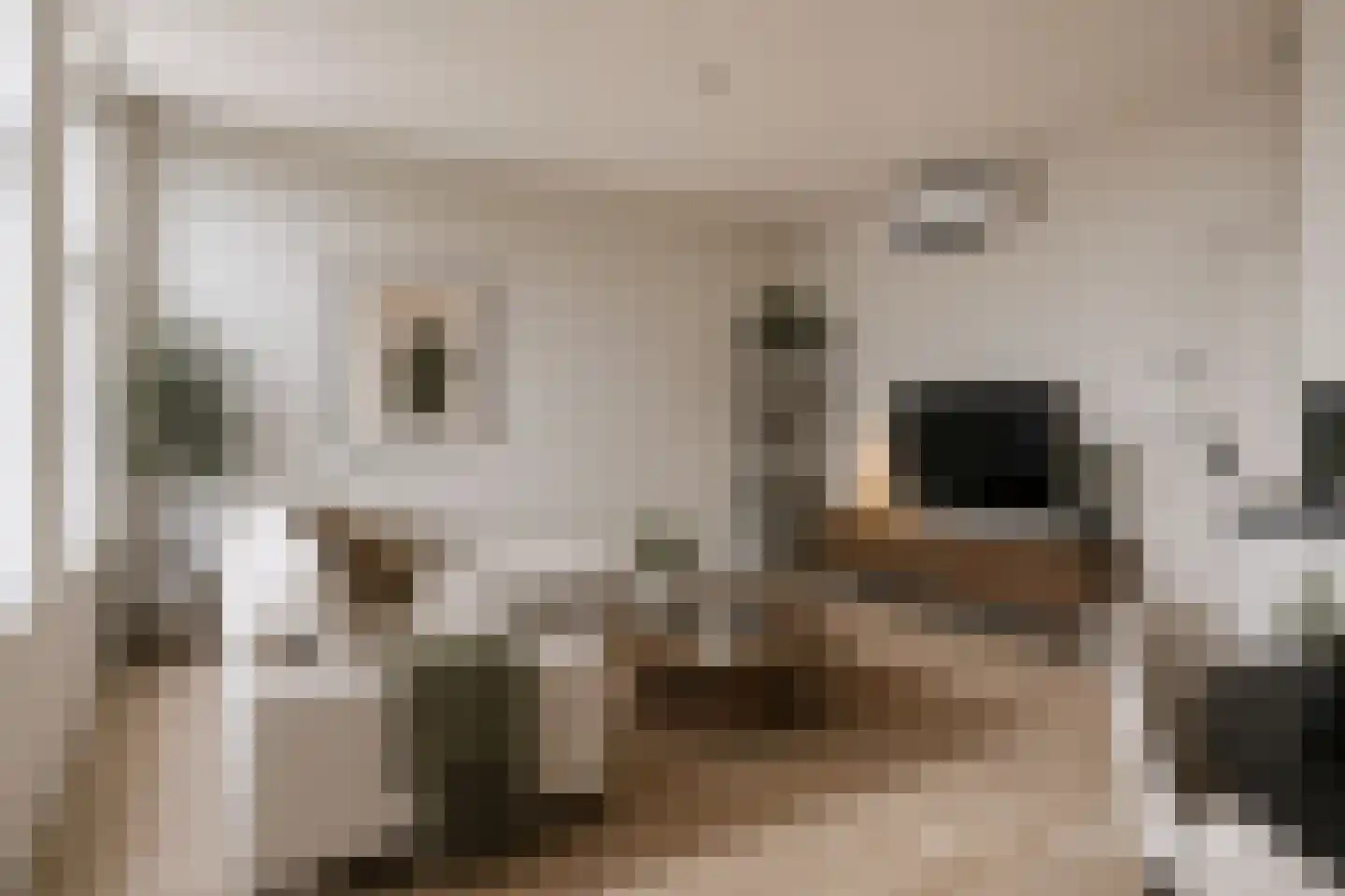 Coosje Buskenstraat 37 a Vlissingen thumbnail 11