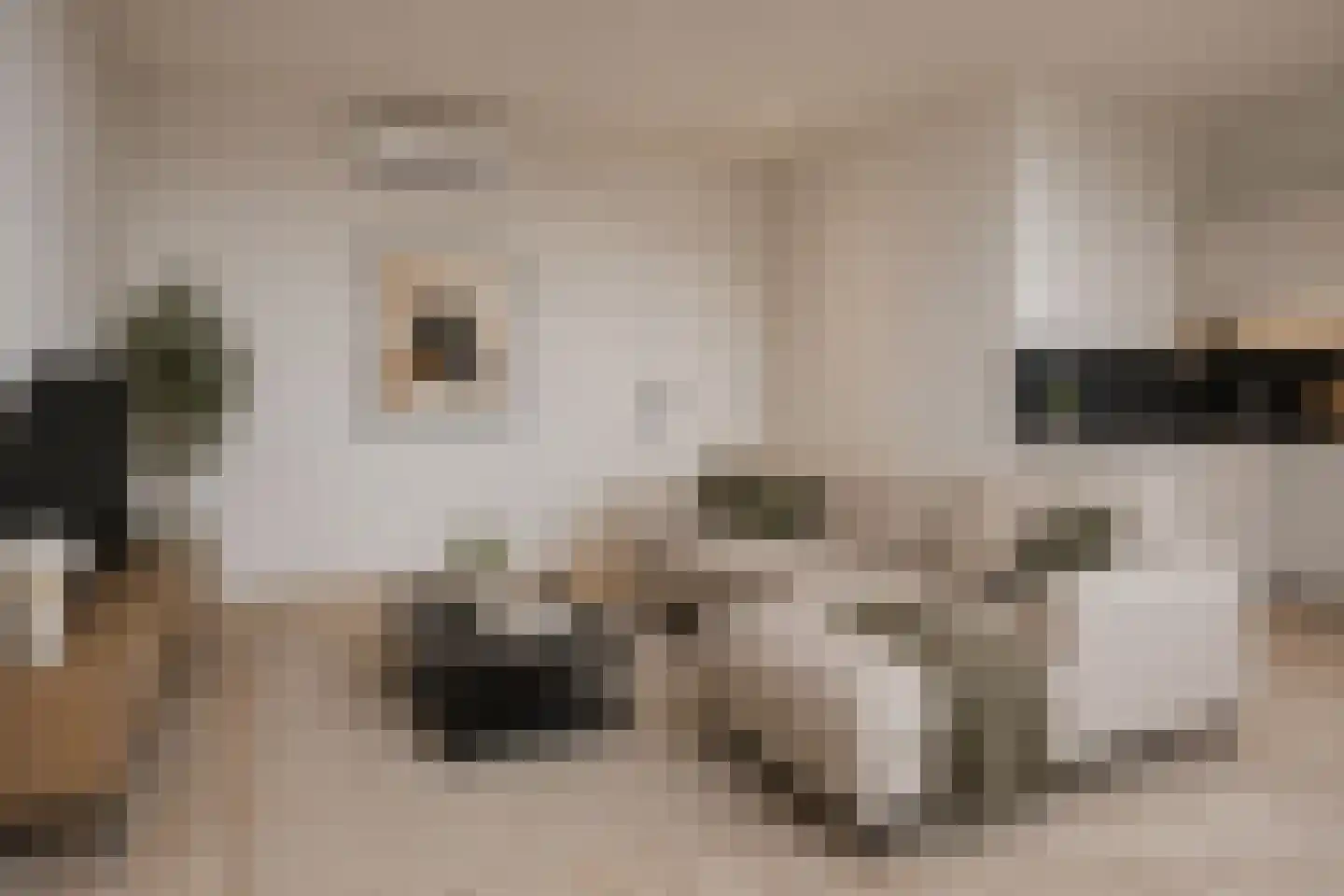 Coosje Buskenstraat 37 Vlissingen thumbnail 8