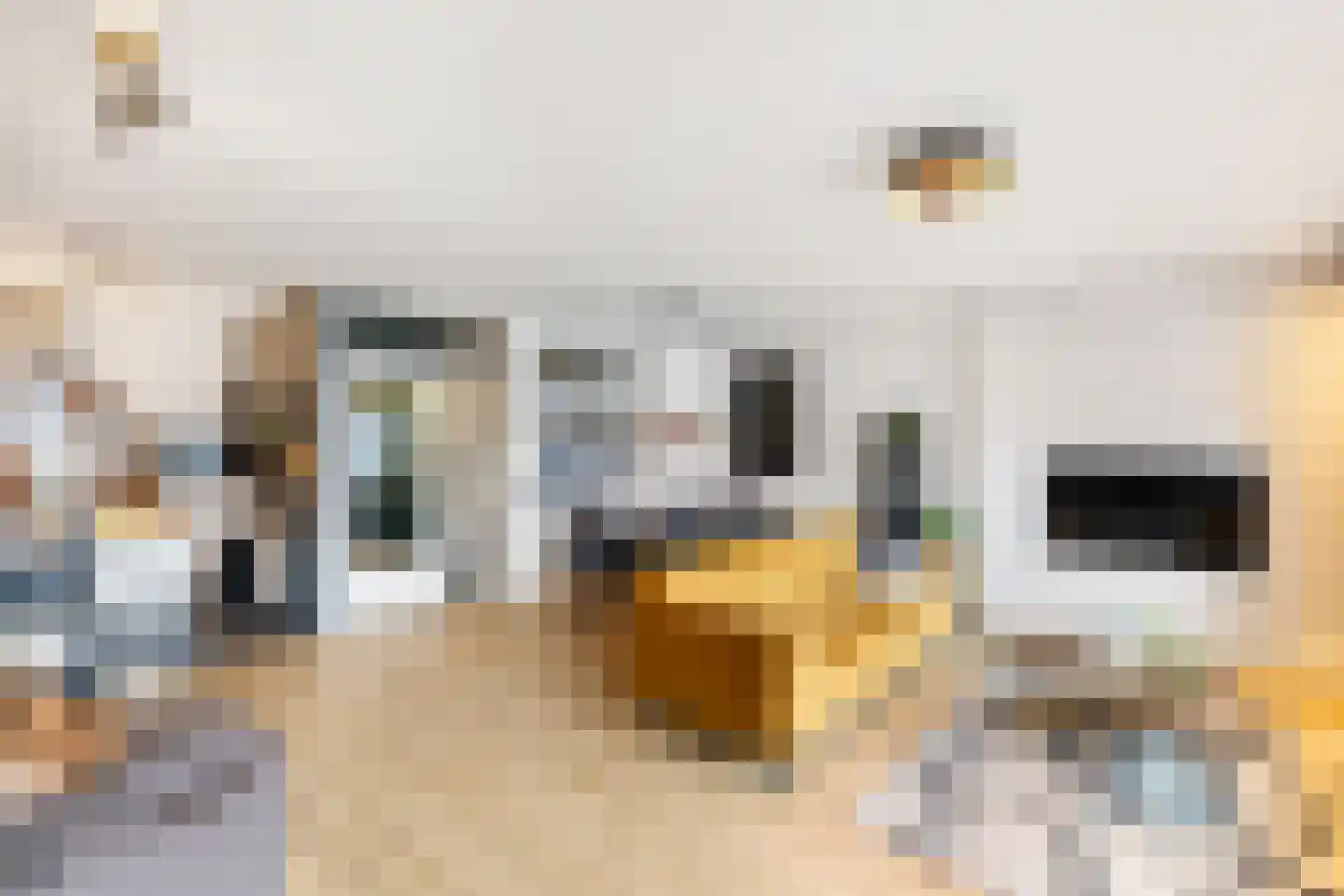 Coosje Buskenstraat 45 Vlissingen thumbnail 7