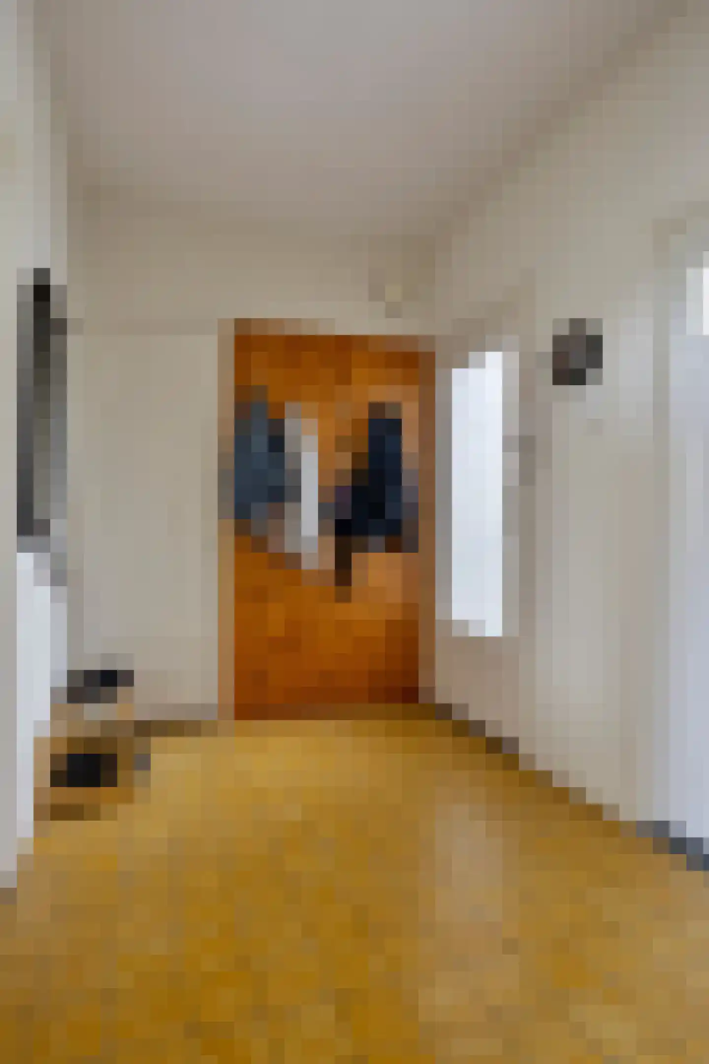 Coosje Buskenstraat 58 Vlissingen thumbnail 29