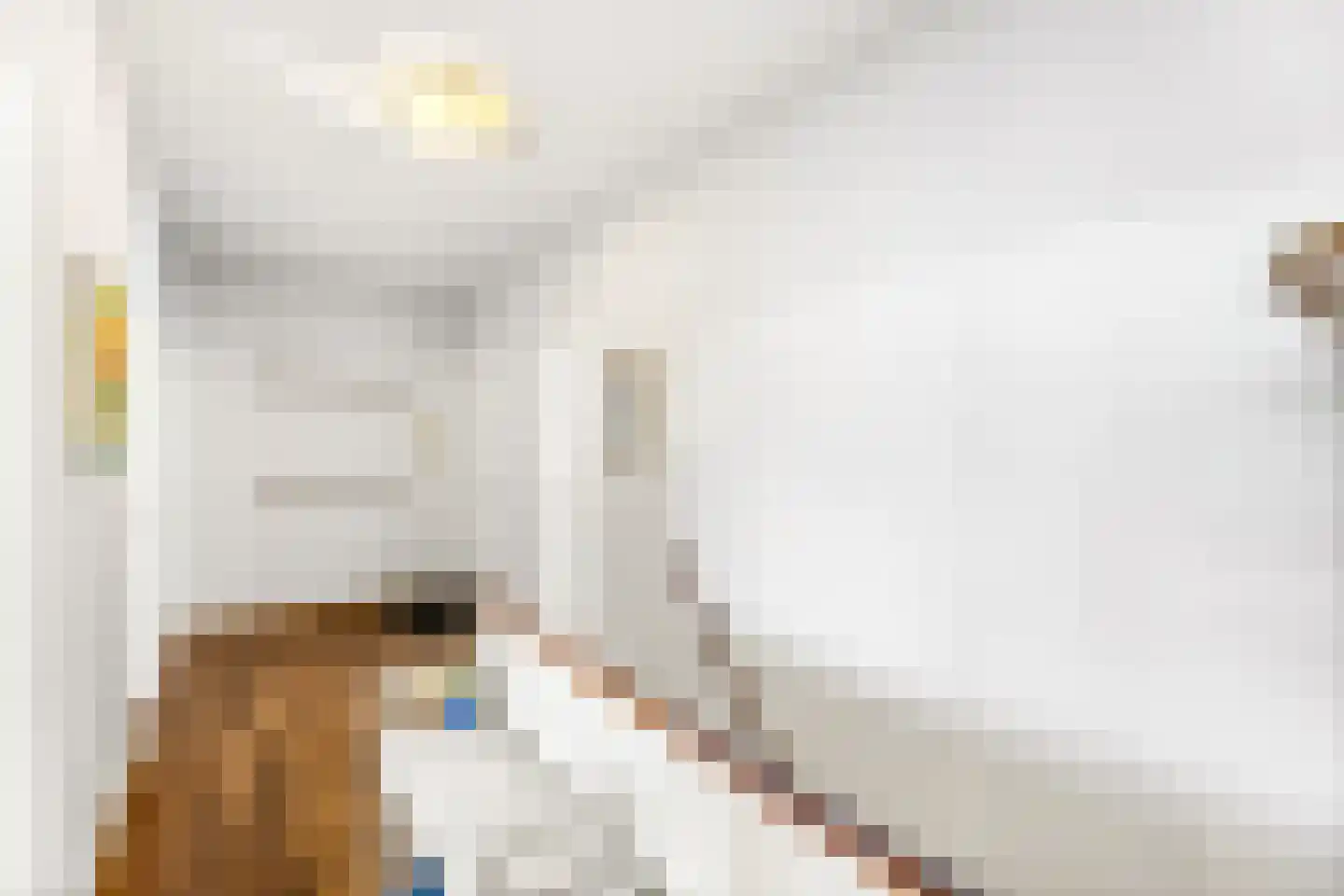 Coosje Buskenstraat 70 Vlissingen thumbnail 17