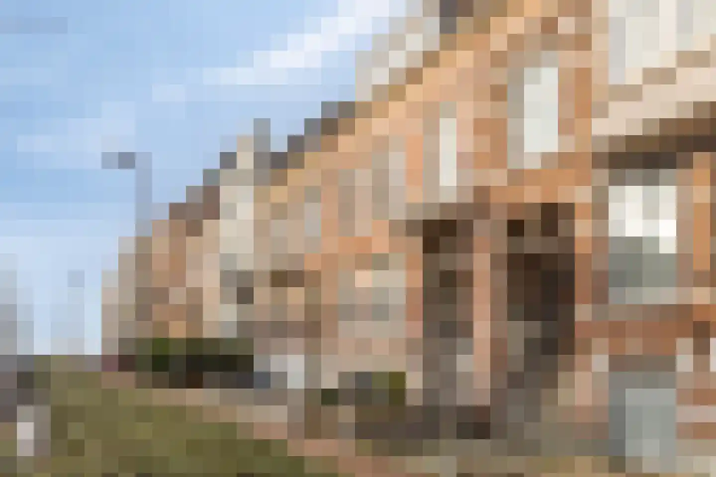 Coosje Buskenstraat 73 Vlissingen thumbnail 26