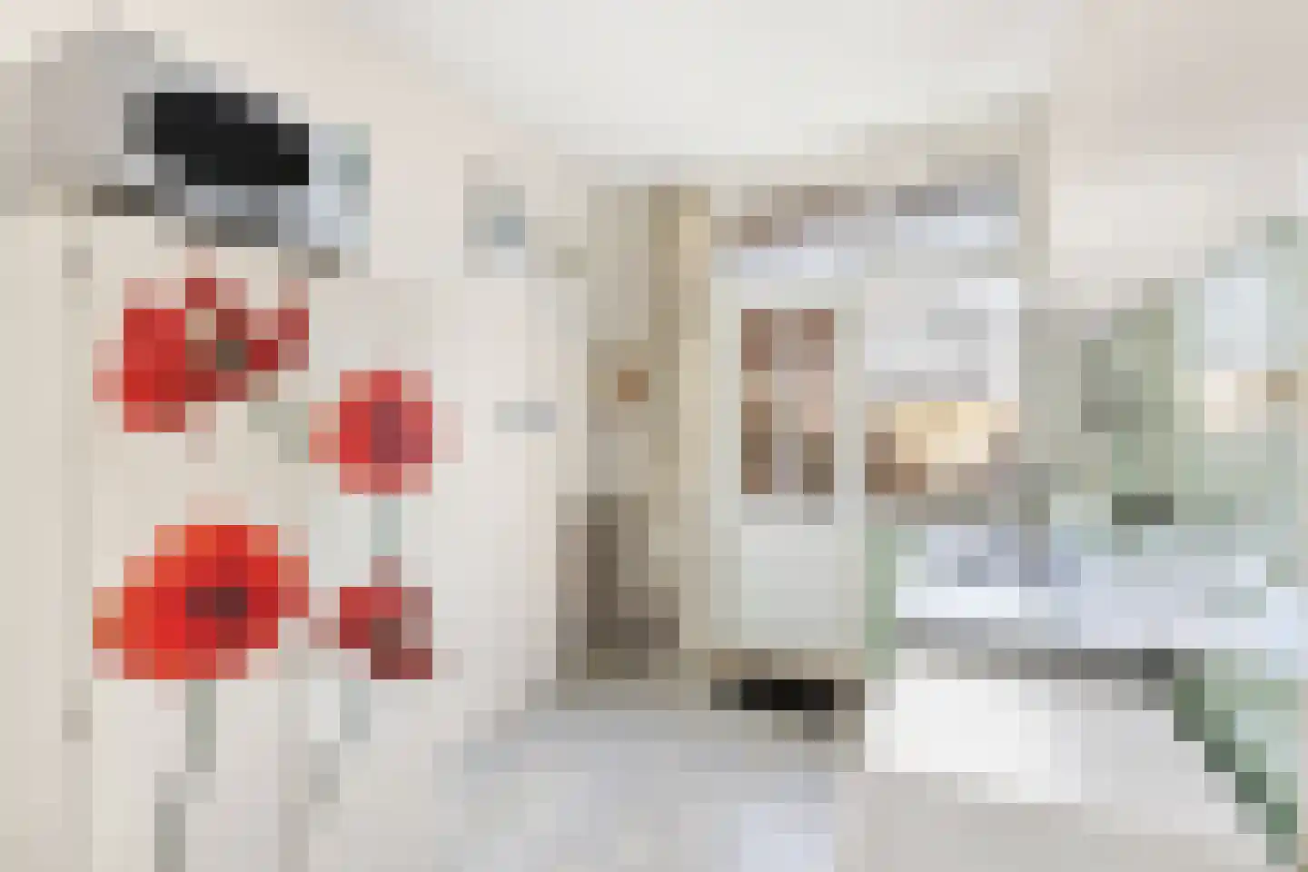 Coosje Buskenstraat 75 Vlissingen thumbnail 20