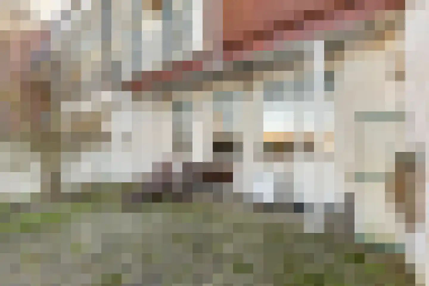 Coosje Buskenstraat 75 Vlissingen thumbnail 25