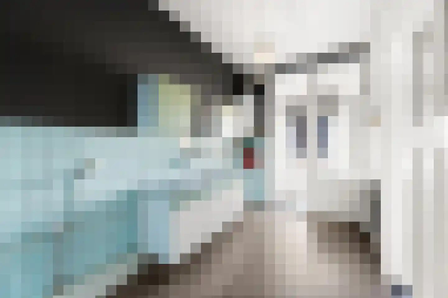 Coosje Buskenstraat 75 Vlissingen thumbnail 41