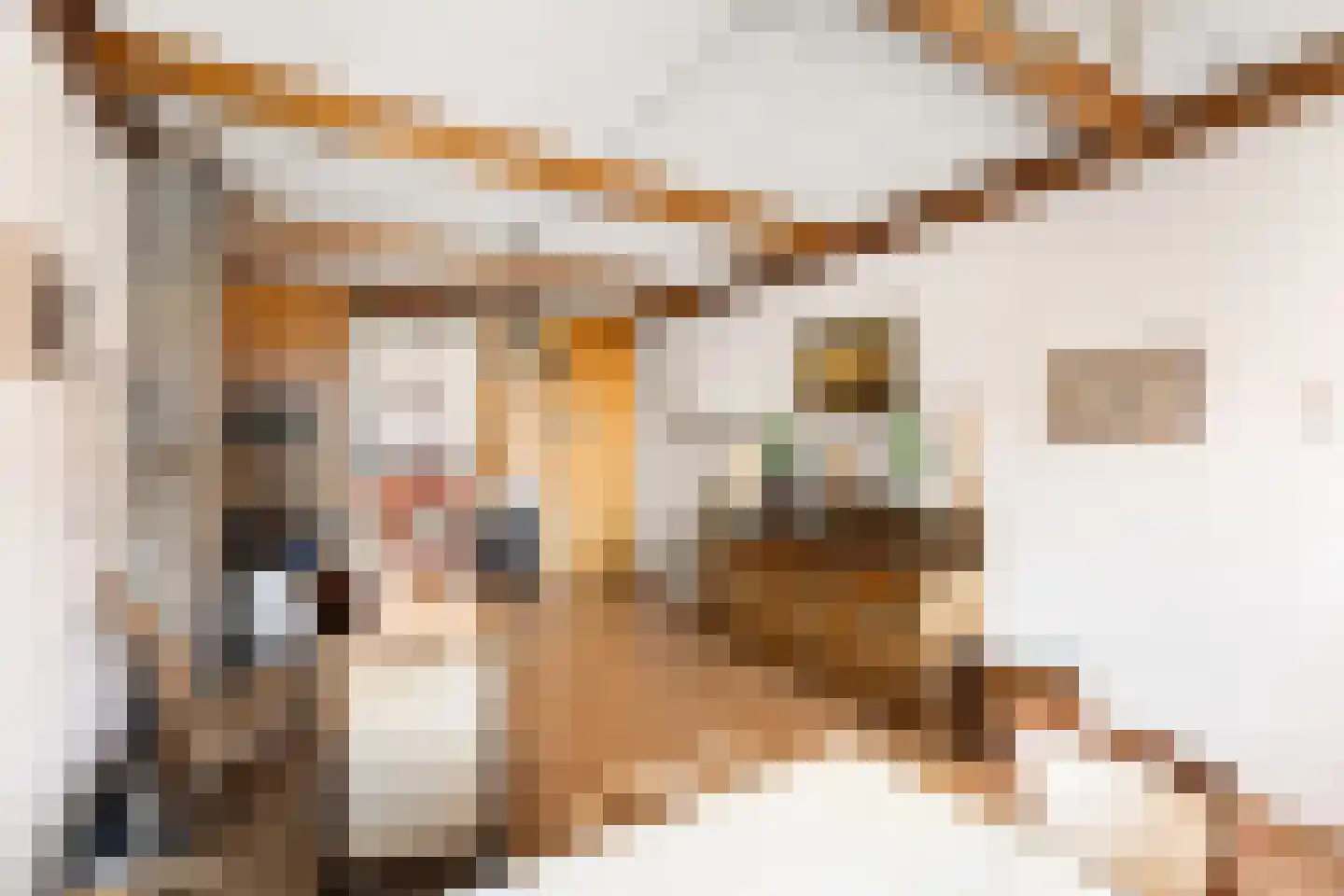 Coosje Buskenstraat 75 Vlissingen thumbnail 52
