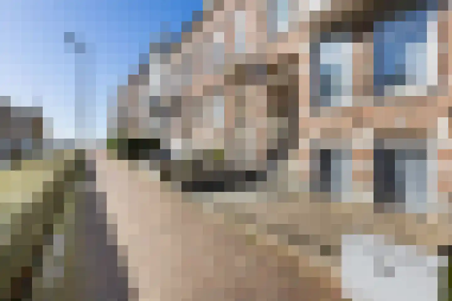Coosje Buskenstraat 75 Vlissingen thumbnail 6
