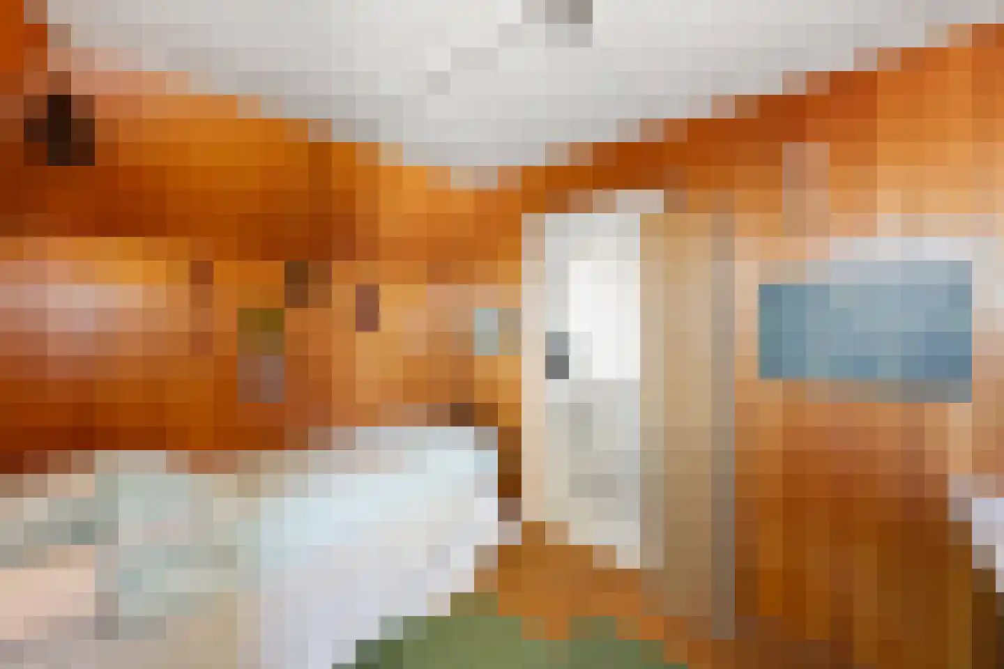 Coosje Buskenstraat 75 Vlissingen thumbnail 64